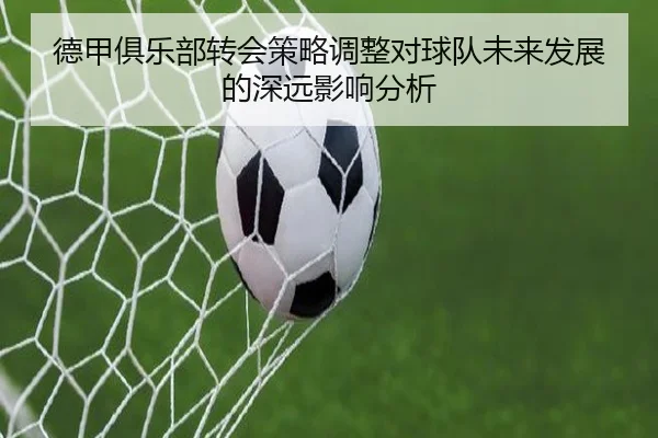 德甲俱乐部转会策略调整对球队未来发展的深远影响分析